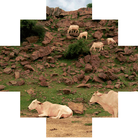 Govardhan